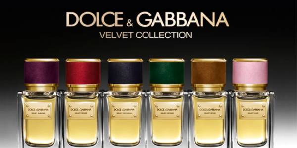 Find a Perfume for Everyone in the Dolce Gabbana Perfume Collection | Ocean  Fashion